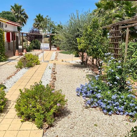 B&B Casa Azul Crevillente Εξωτερικό φωτογραφία