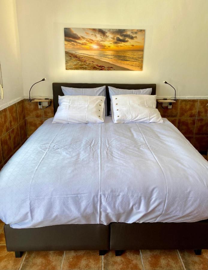 B&B Casa Azul Crevillente Εξωτερικό φωτογραφία