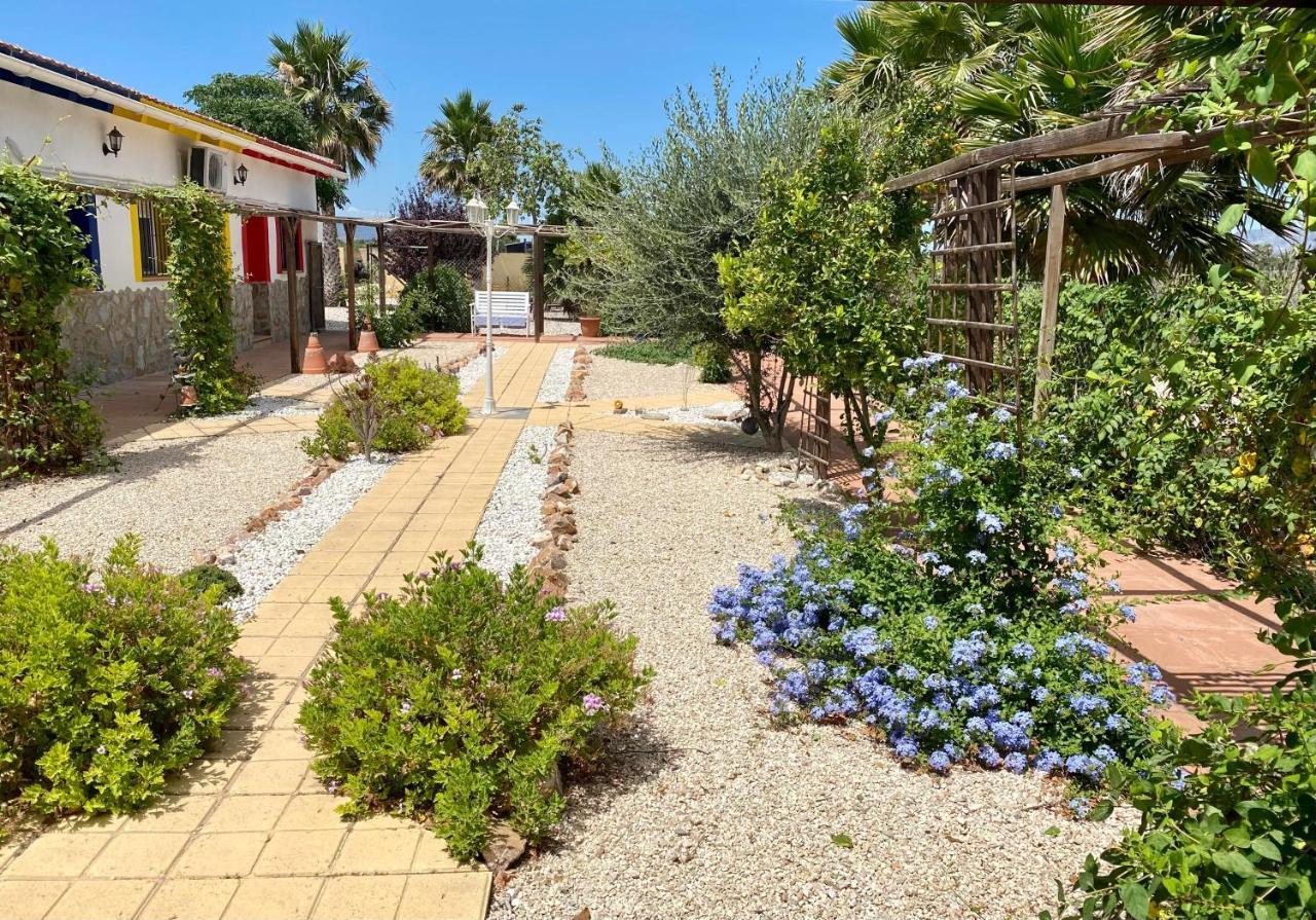 B&B Casa Azul Crevillente Εξωτερικό φωτογραφία